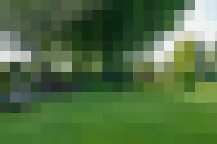Nijewei 67 Harkema thumbnail 5
