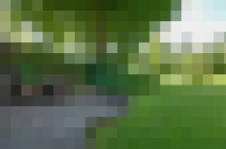 Nijewei 67 Harkema thumbnail 51