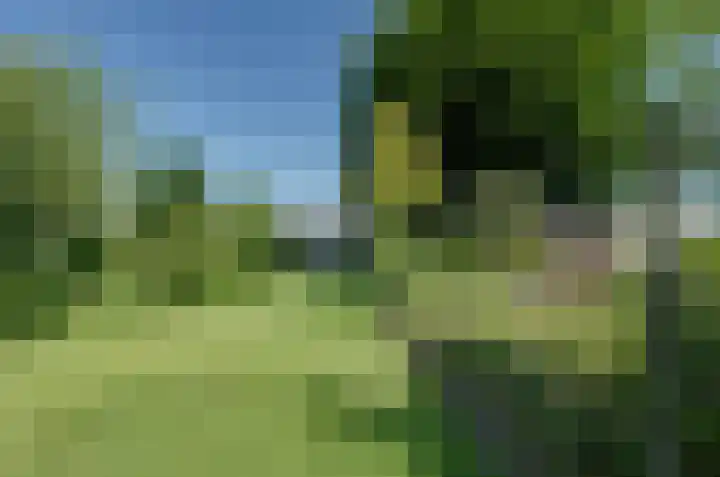 Nijewei 67 Harkema thumbnail 56