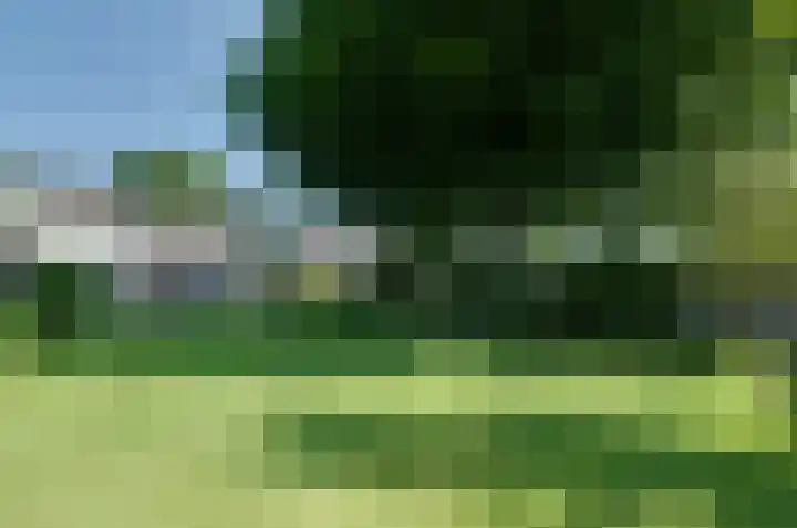 Nijewei 67 Harkema thumbnail 58