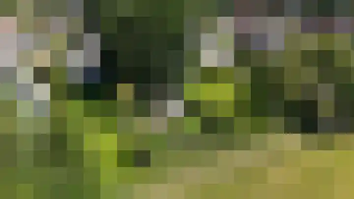 Nijewei 67 Harkema thumbnail 60