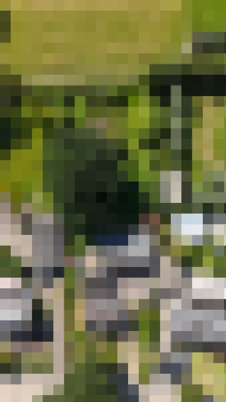Nijewei 67 Harkema thumbnail 63