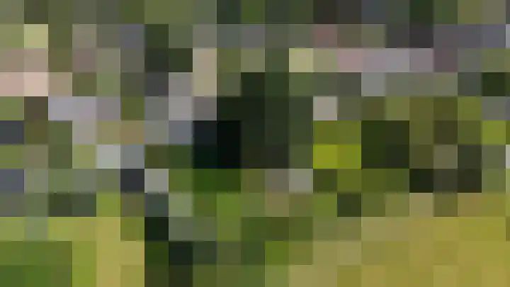 Nijewei 67 Harkema thumbnail 64