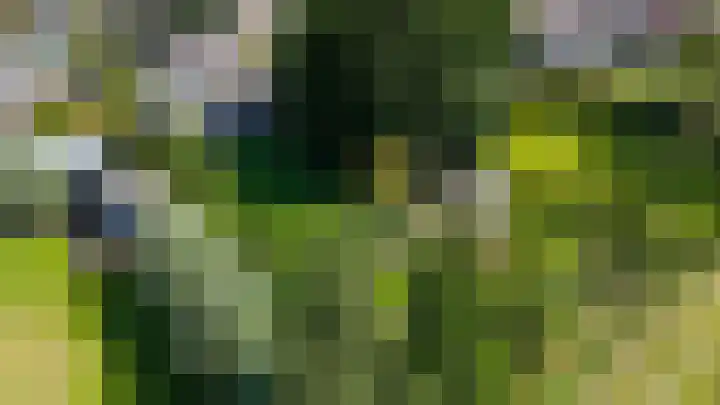 Nijewei 67 Harkema thumbnail 66