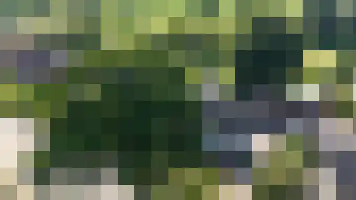 Nijewei 67 Harkema thumbnail 67