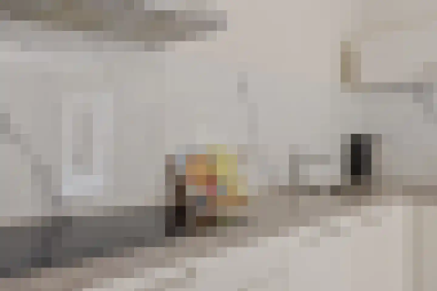 Nijewei 8 Boornbergum thumbnail 19