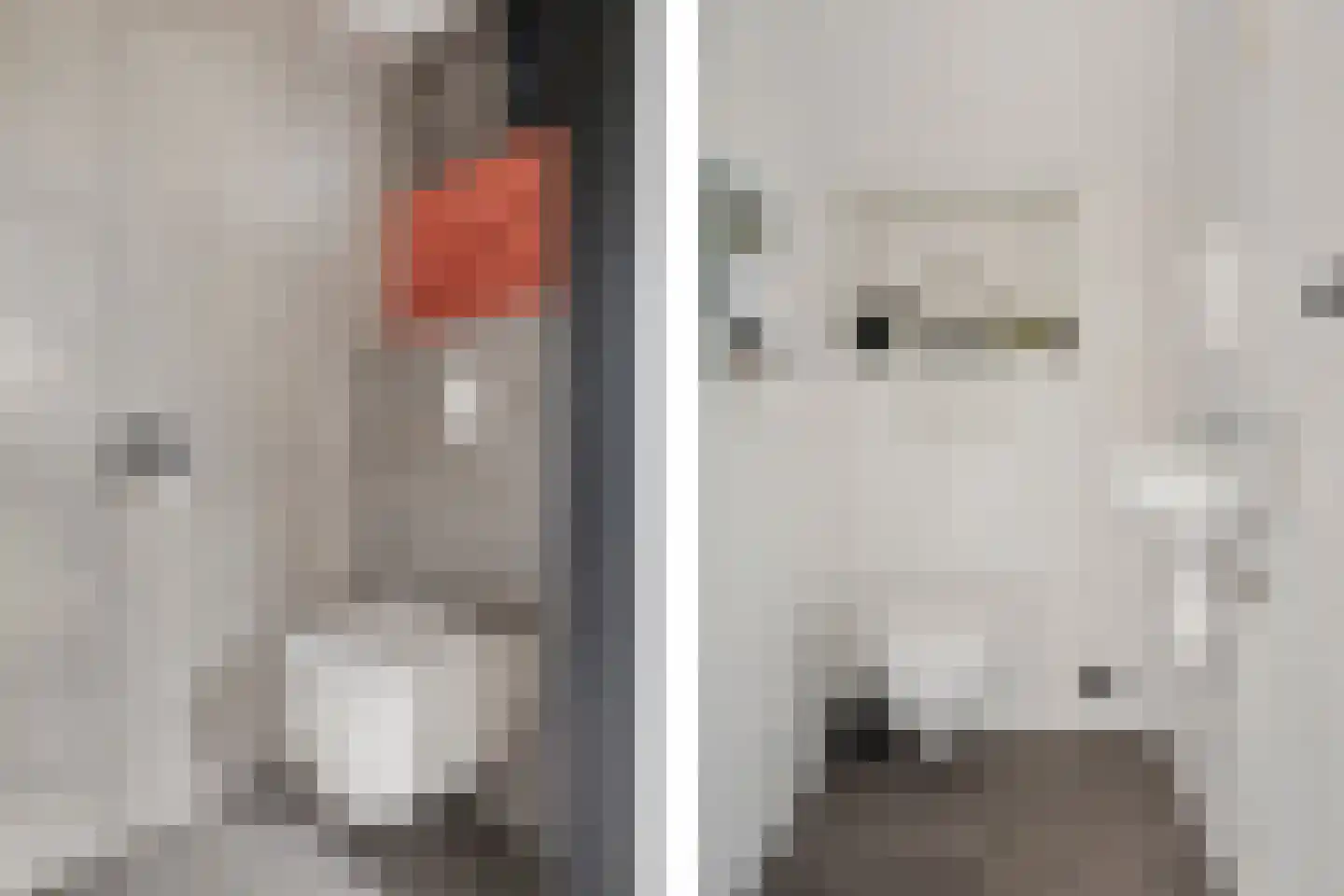 Nijewei 8 Boornbergum thumbnail 28