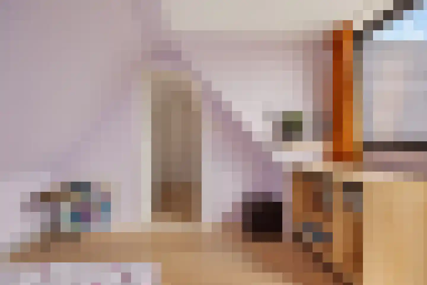 Nijewei 8 Boornbergum thumbnail 38