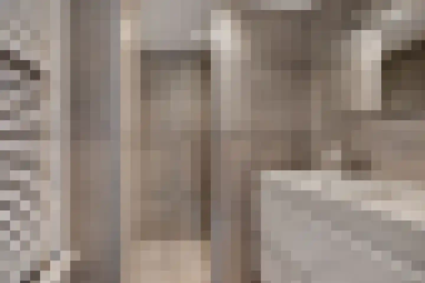 Nijewei 8 Boornbergum thumbnail 42