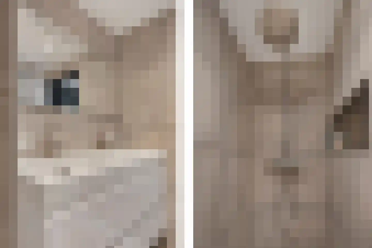 Nijewei 8 Boornbergum thumbnail 43