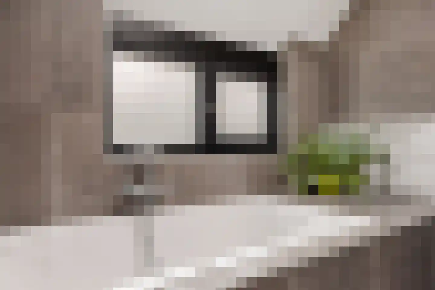 Nijewei 8 Boornbergum thumbnail 45