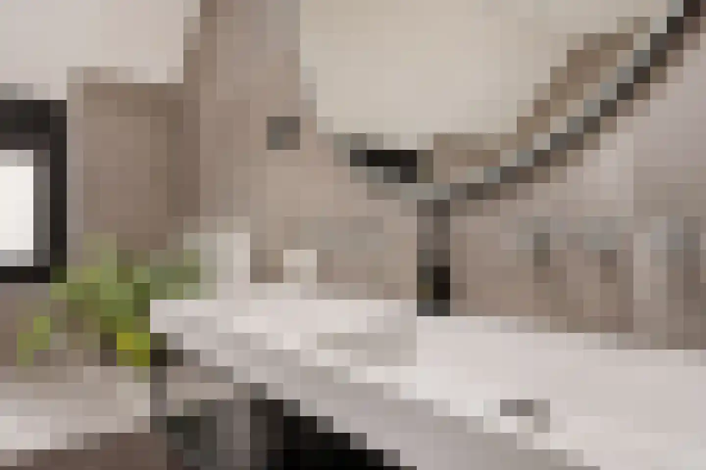 Nijewei 8 Boornbergum thumbnail 46