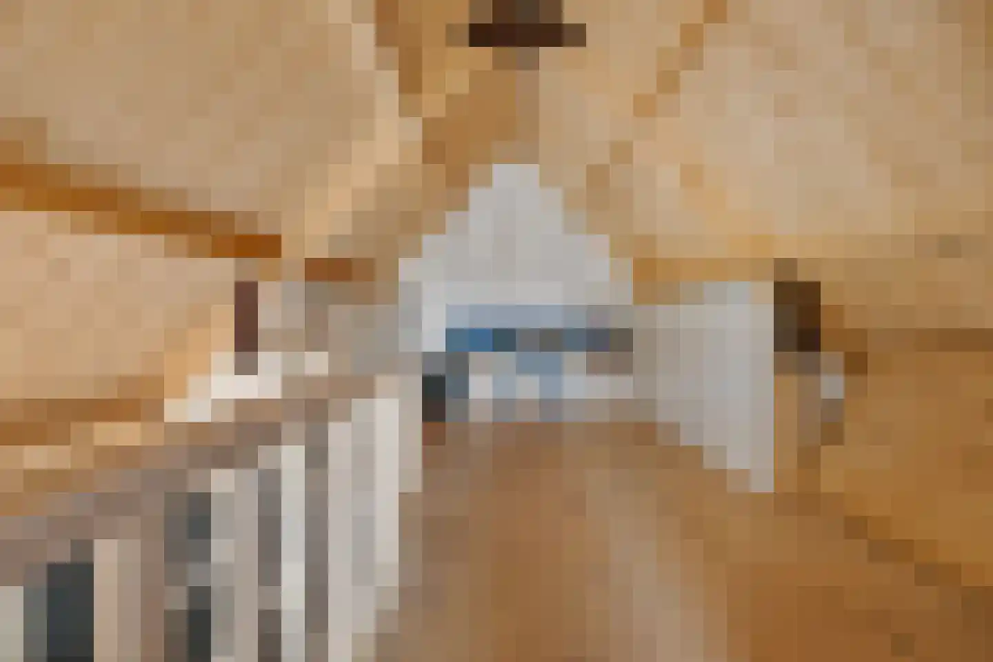 Nijewei 8 Boornbergum thumbnail 52