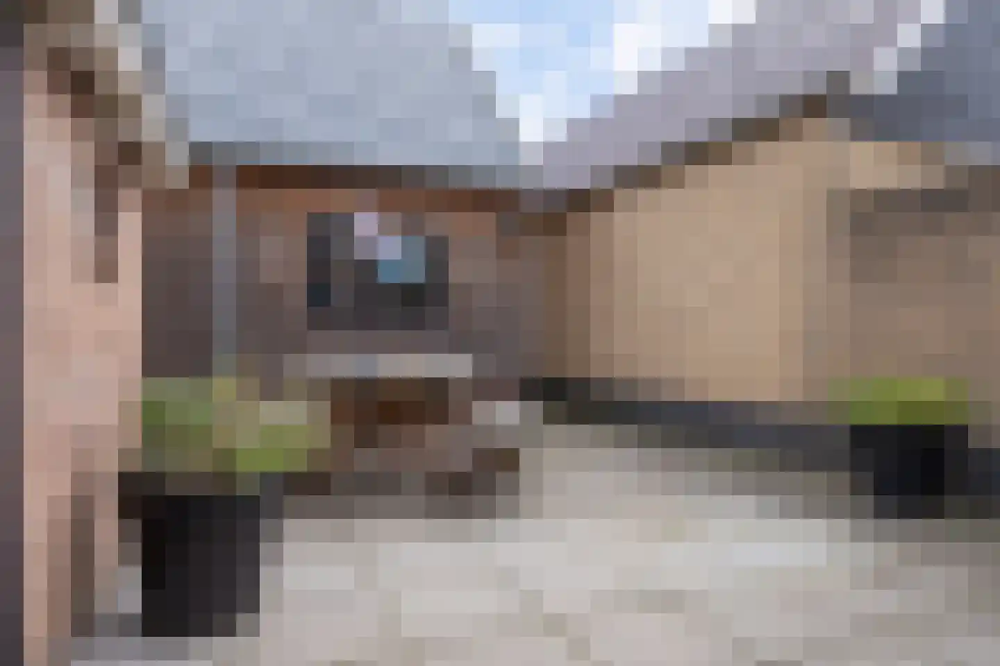 Nijewei 8 Boornbergum thumbnail 55