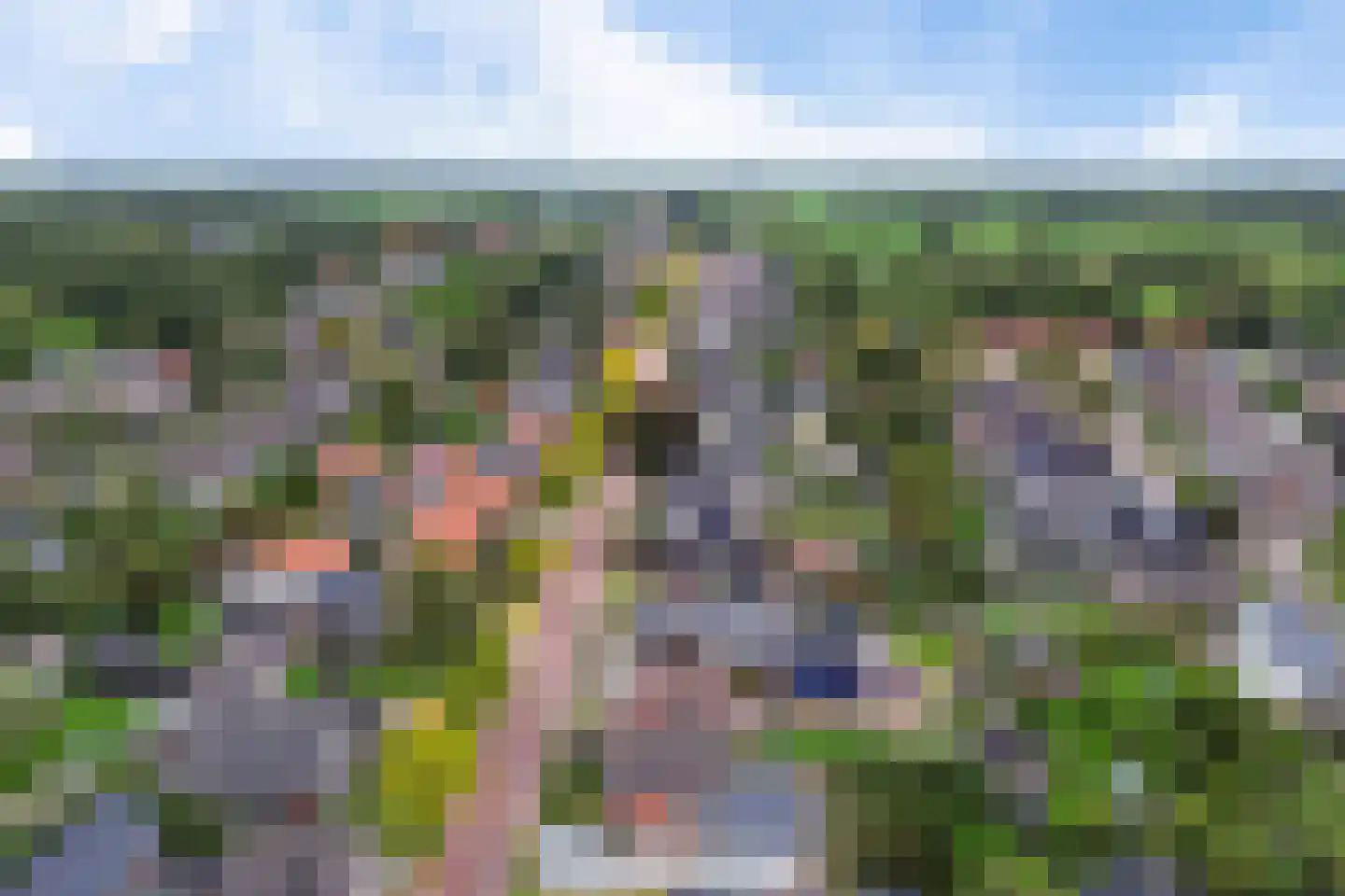 Nijewei 8 Boornbergum thumbnail 63