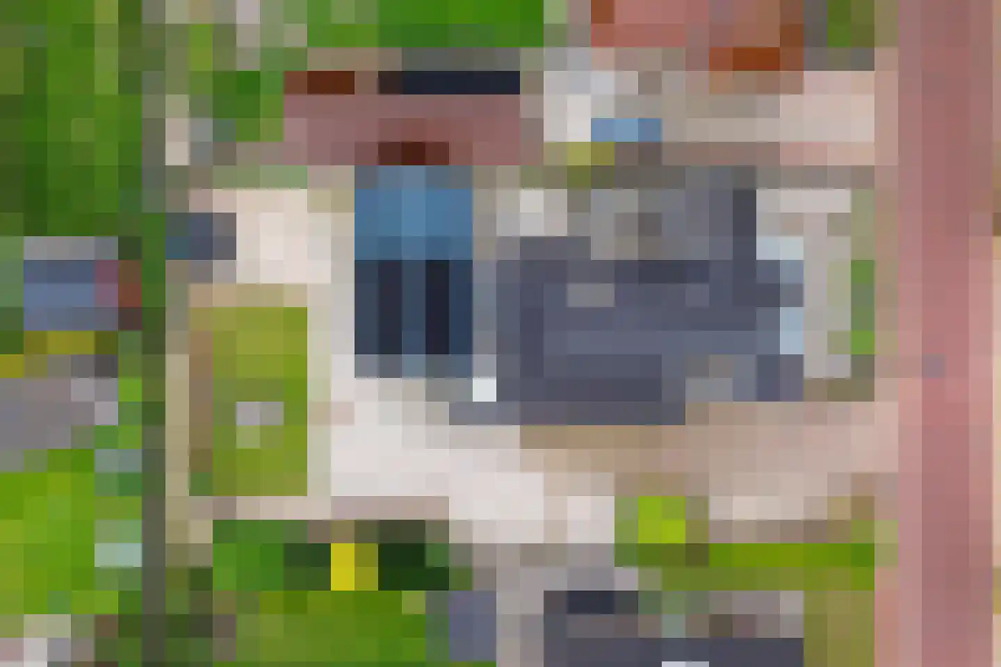 Nijewei 8 Boornbergum thumbnail 7