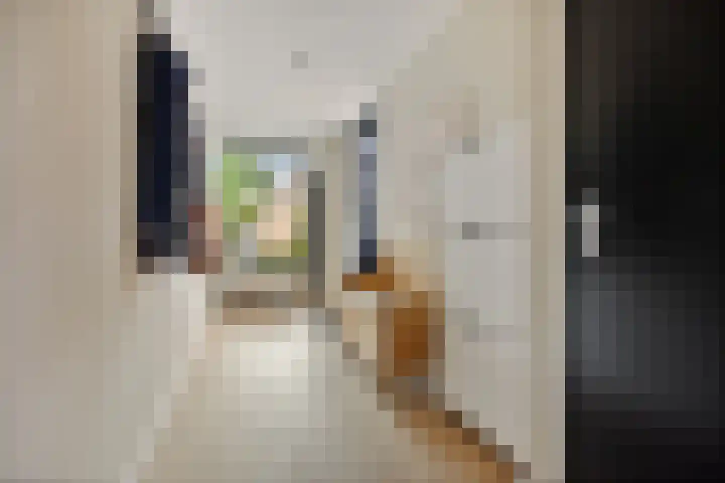 Nijewei 8 Boornbergum thumbnail 9