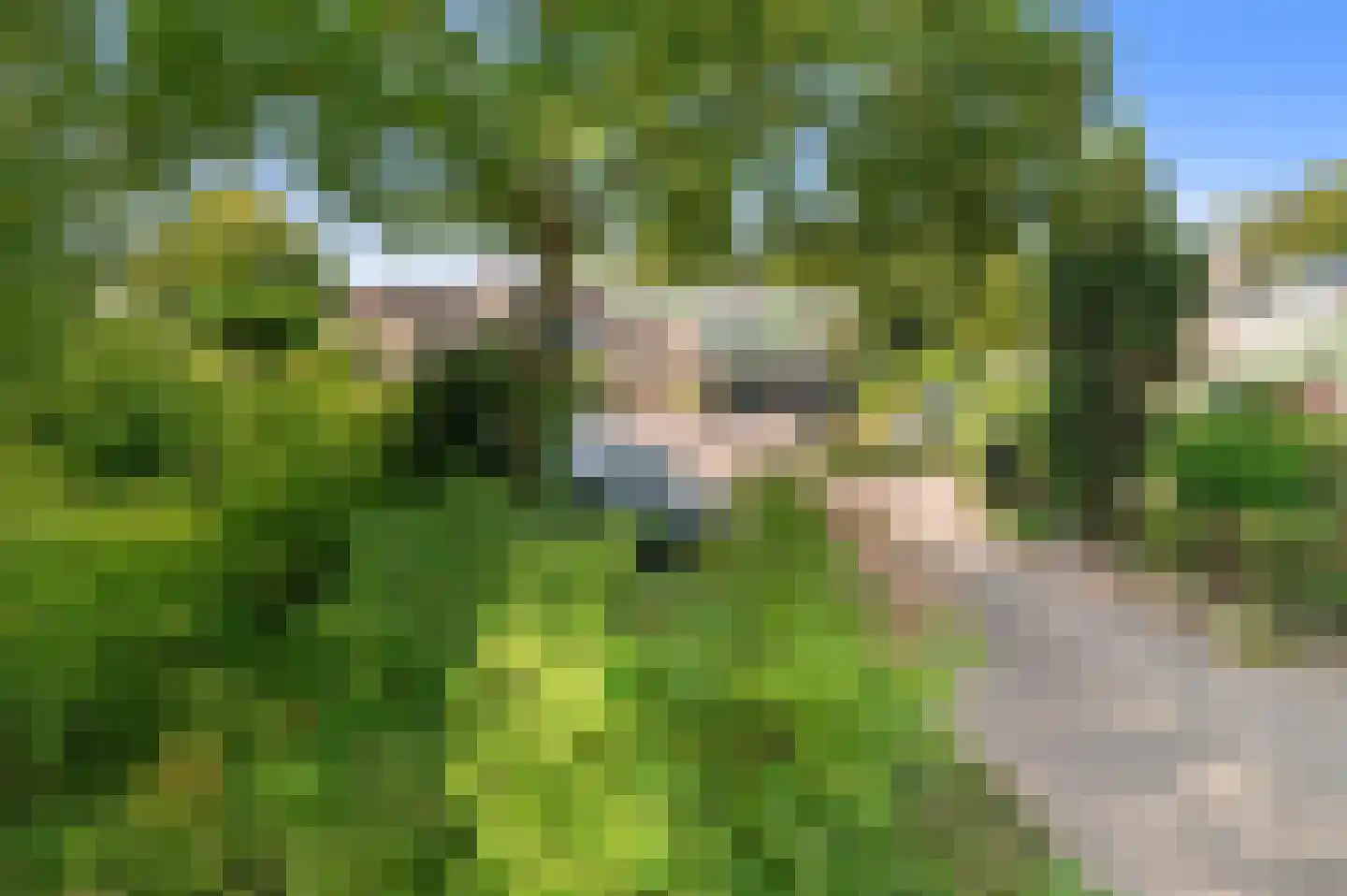 Nijhoffgaarde 187 Deventer thumbnail 32
