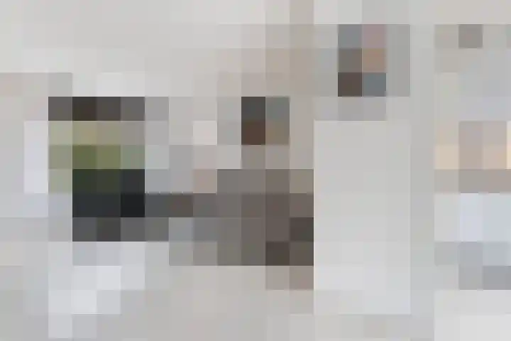 Nijhofflaan 124 Dordrecht thumbnail 14