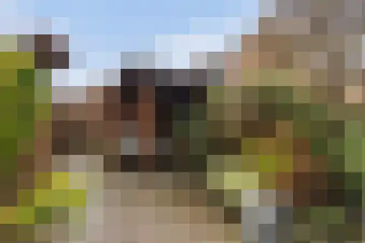 Nijhofflaan 124 Dordrecht thumbnail 25