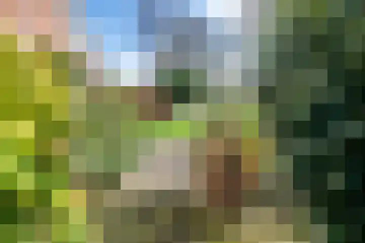 Nijhofflaan 19 Dordrecht thumbnail 33
