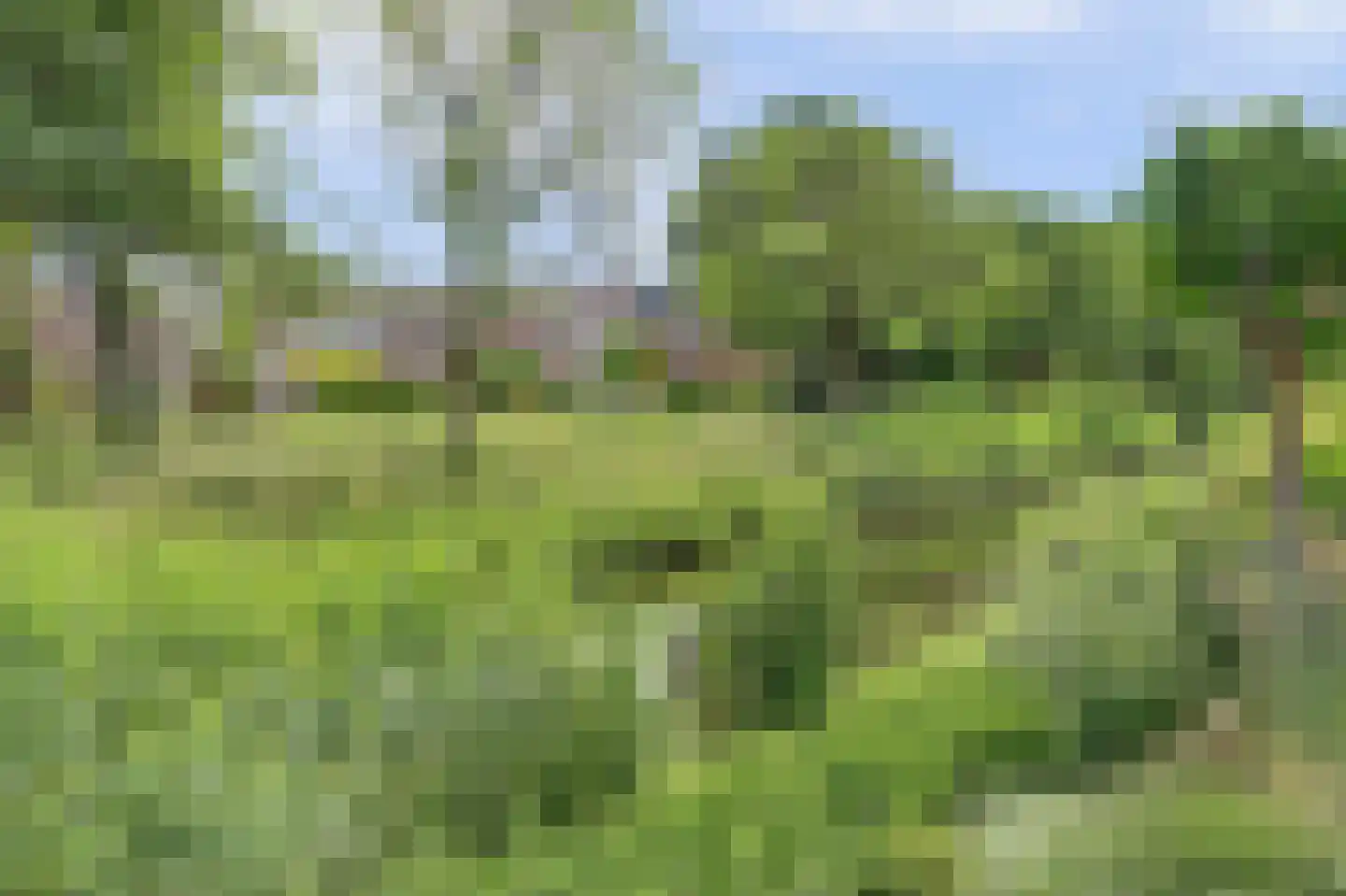Nijhofflaan 33 Veenendaal thumbnail 49