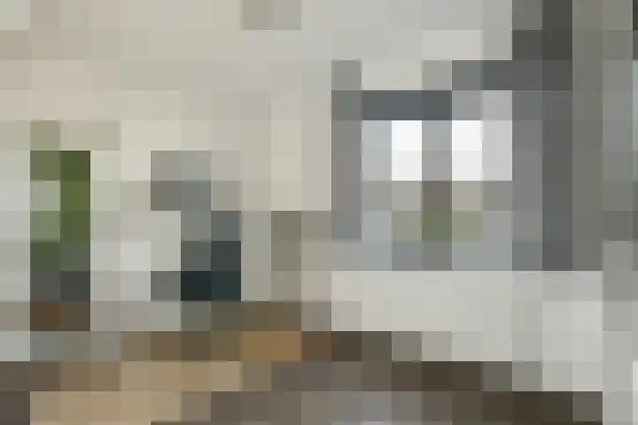 Nijhofflaan 34 Dordrecht thumbnail 13