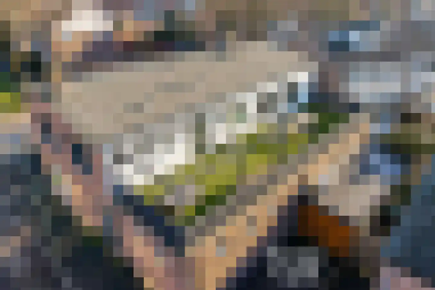Nijhofflaan 34 Dordrecht thumbnail 4
