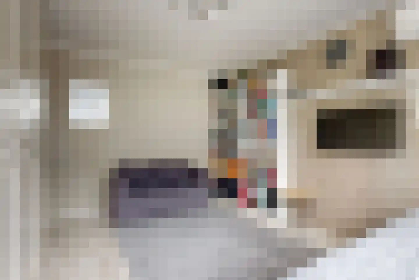 Nijhofflaan 36 Uithoorn thumbnail 11