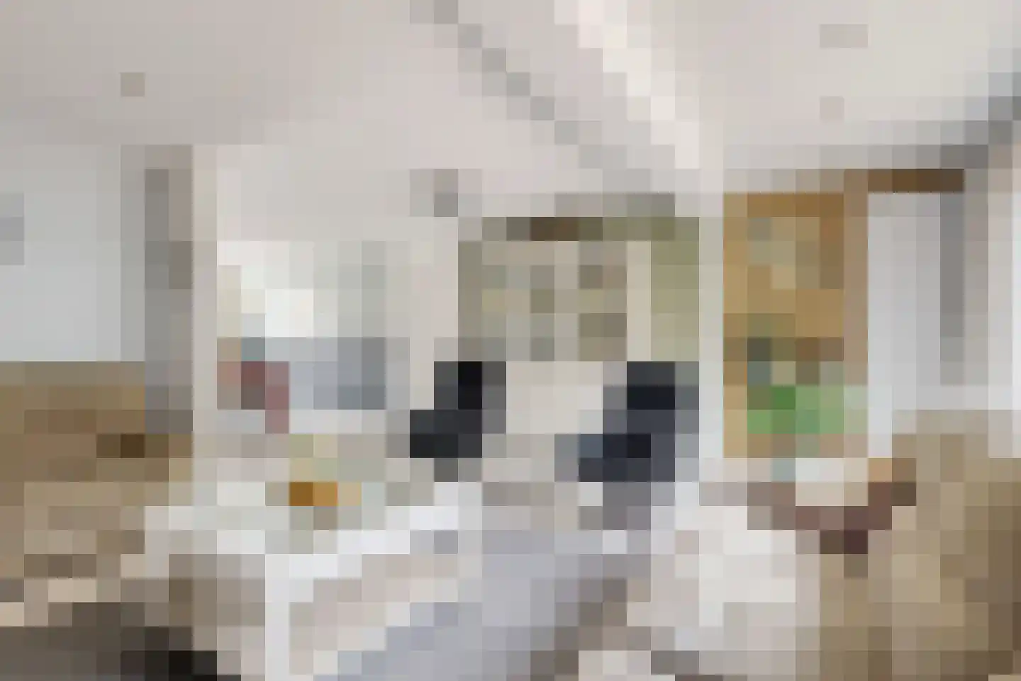 Nijhofflaan 36 Uithoorn thumbnail 5