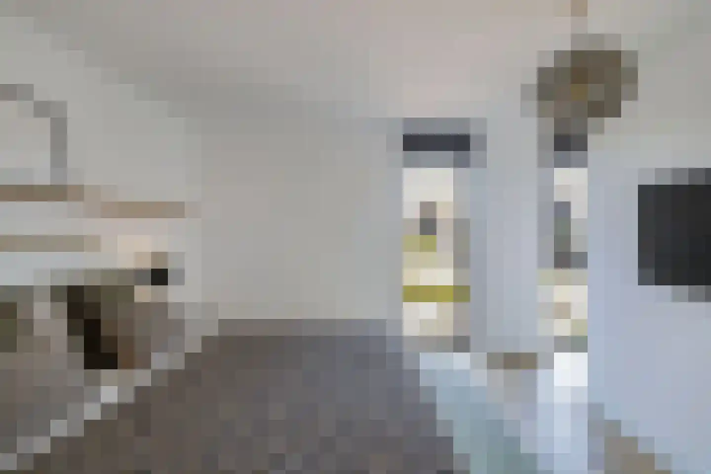 Nijhofflaan 39 Blaricum thumbnail 15