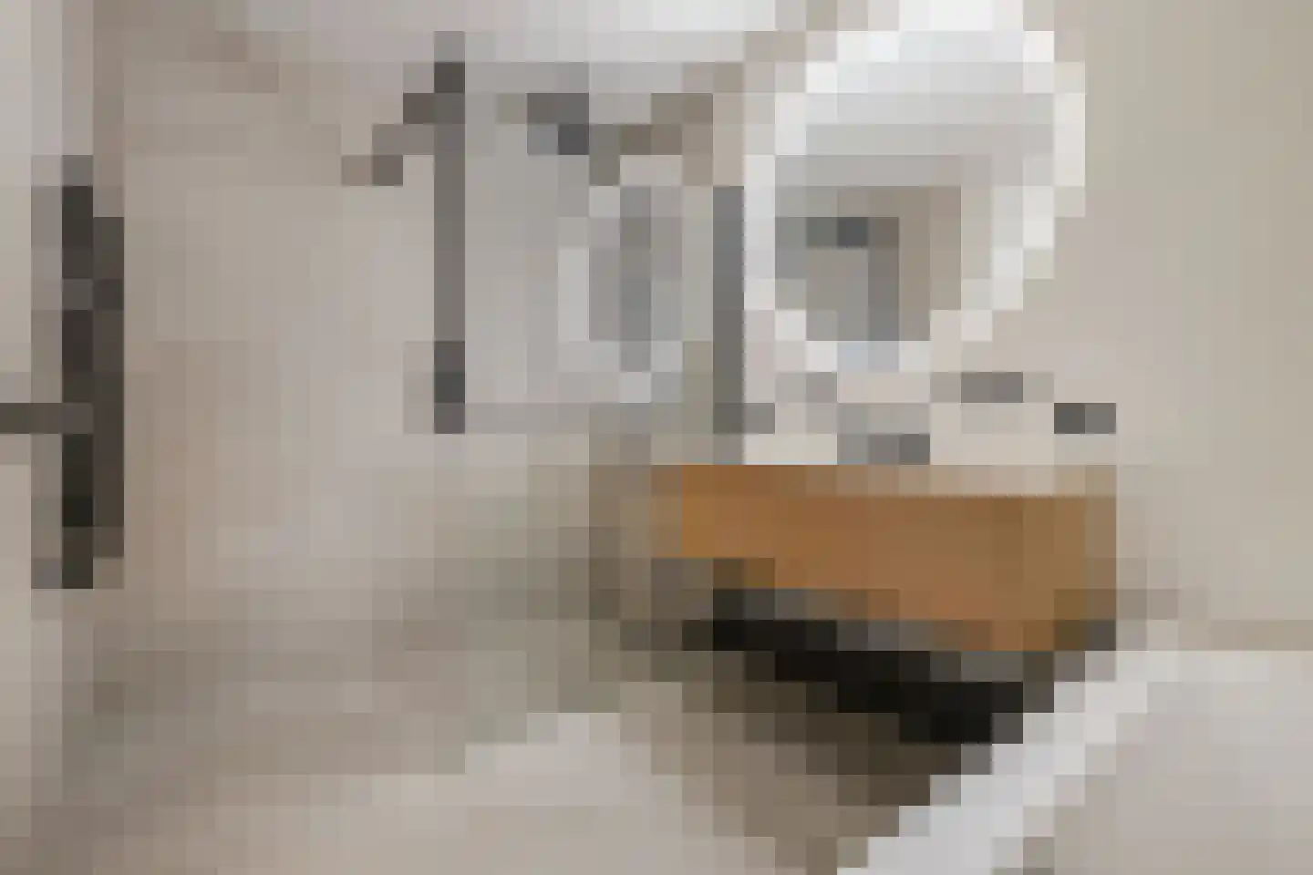 Nijhofflaan 39 Blaricum thumbnail 22