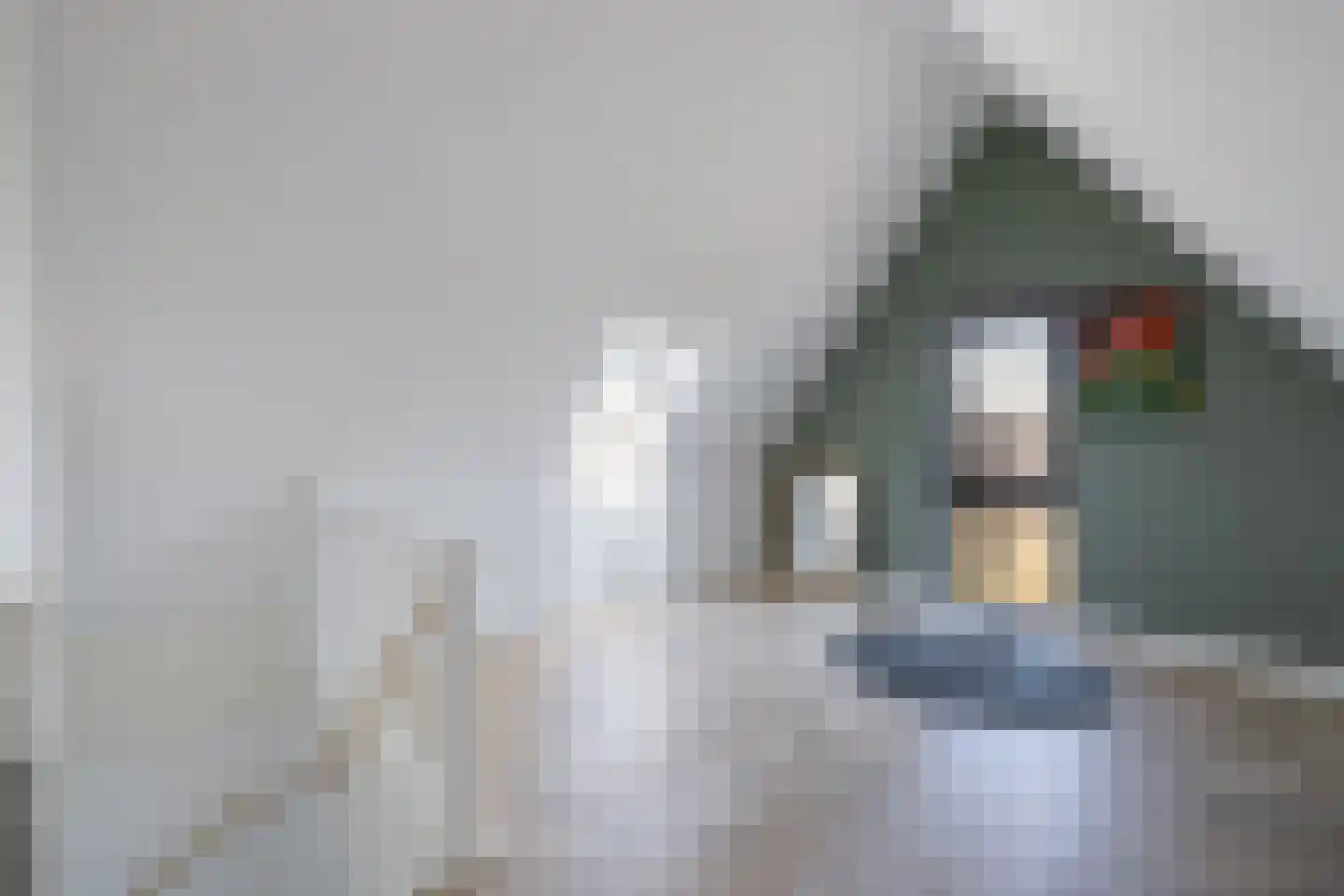 Nijhofflaan 39 Blaricum thumbnail 24