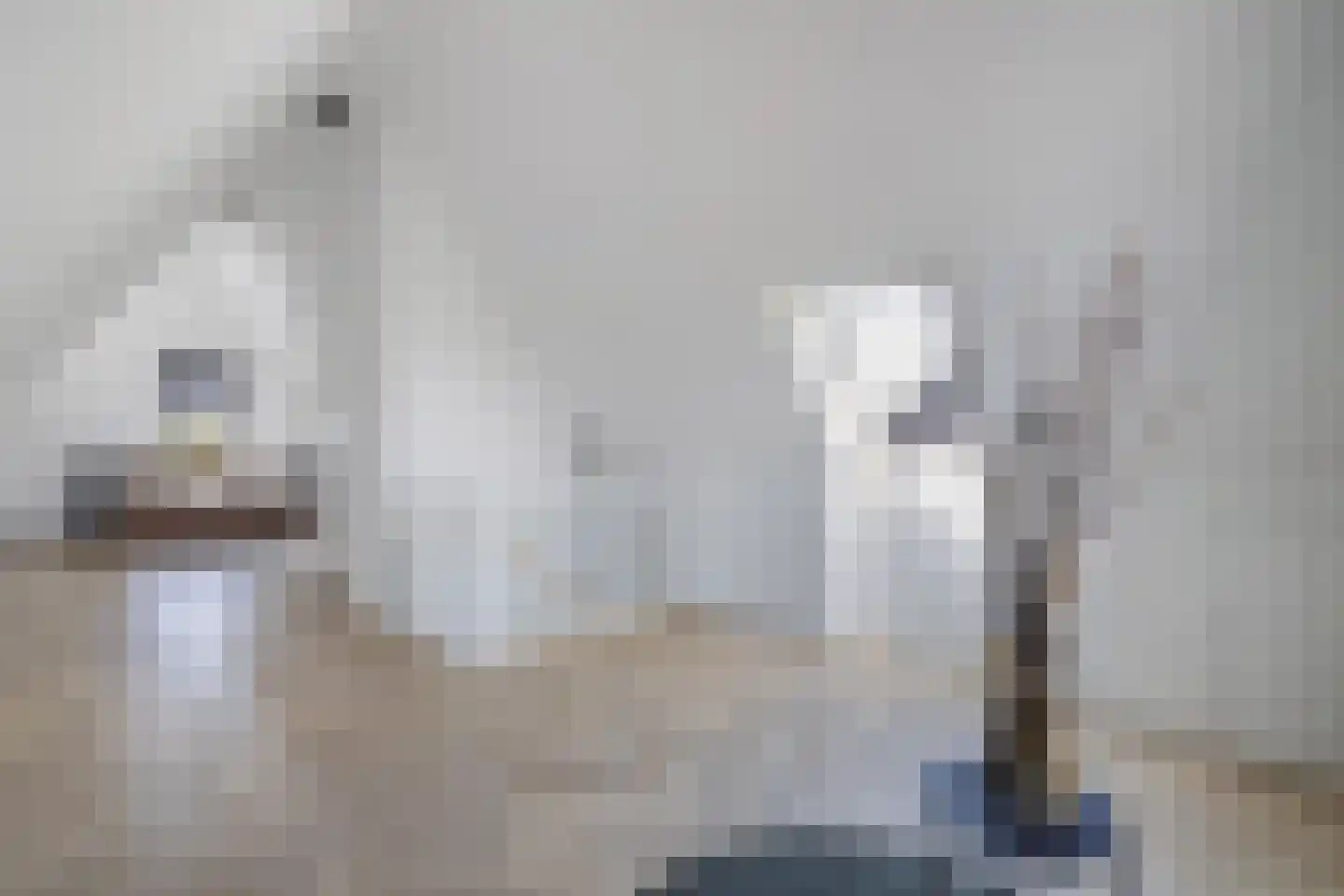 Nijhofflaan 39 Blaricum thumbnail 25