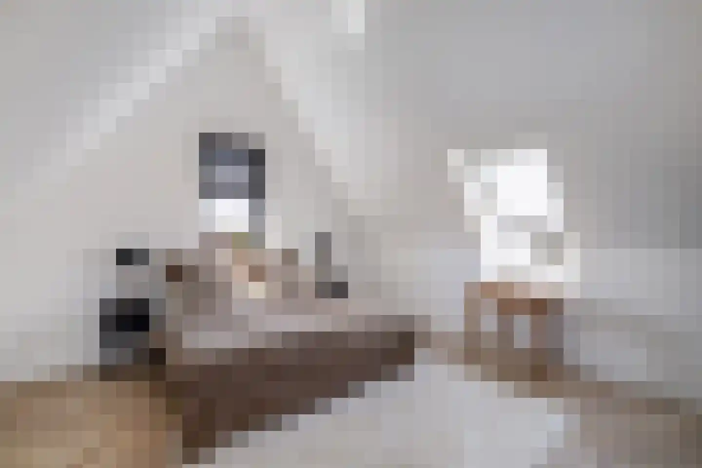 Nijhofflaan 39 Blaricum thumbnail 26