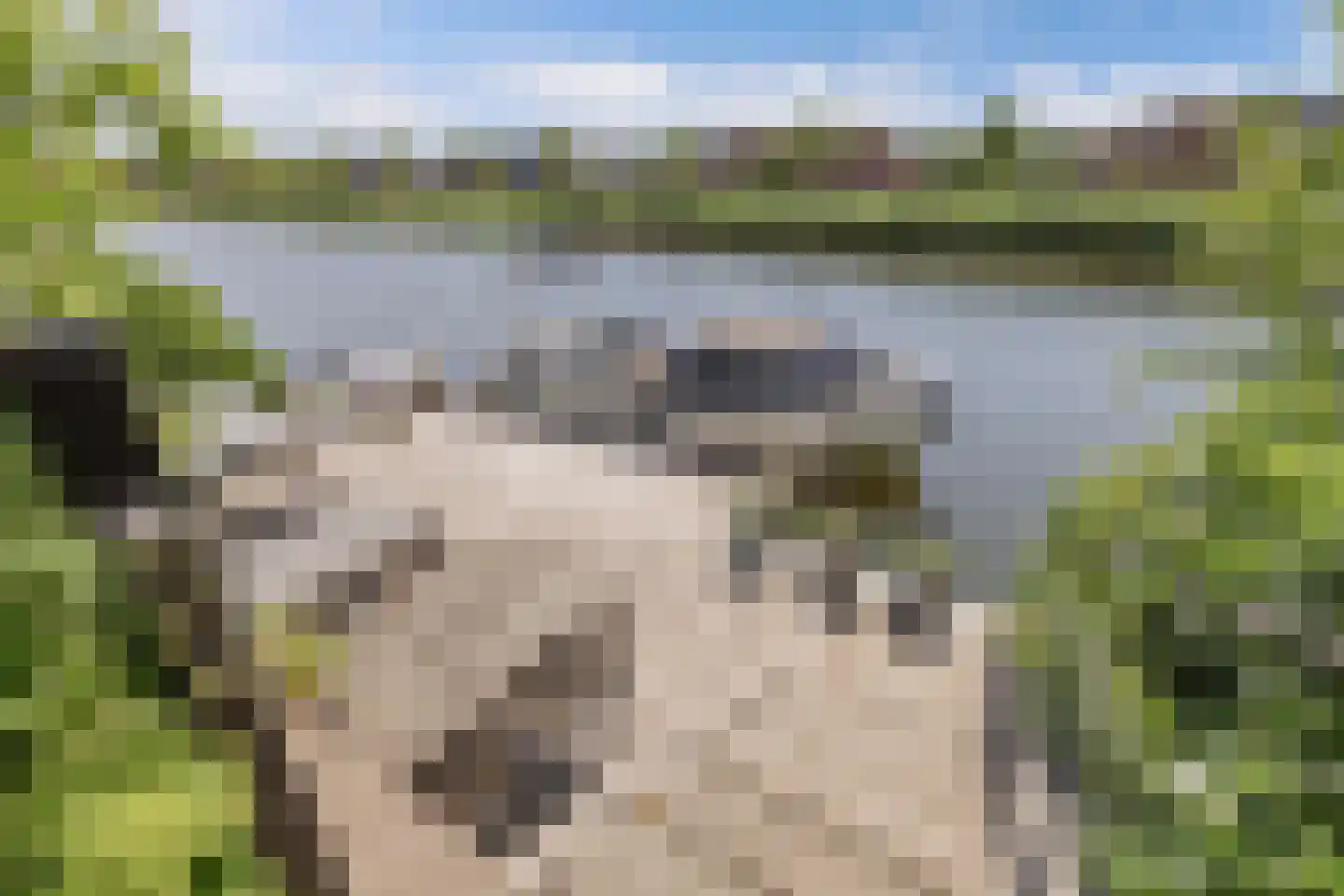 Nijhofflaan 39 Blaricum thumbnail 37