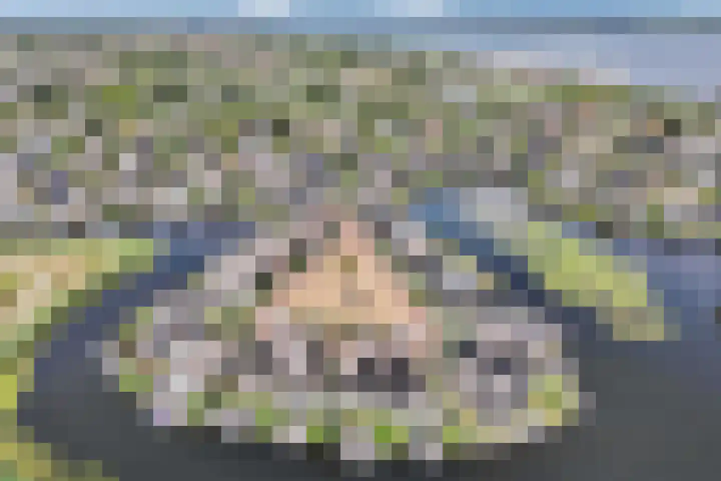 Nijhofflaan 39 Blaricum thumbnail 50