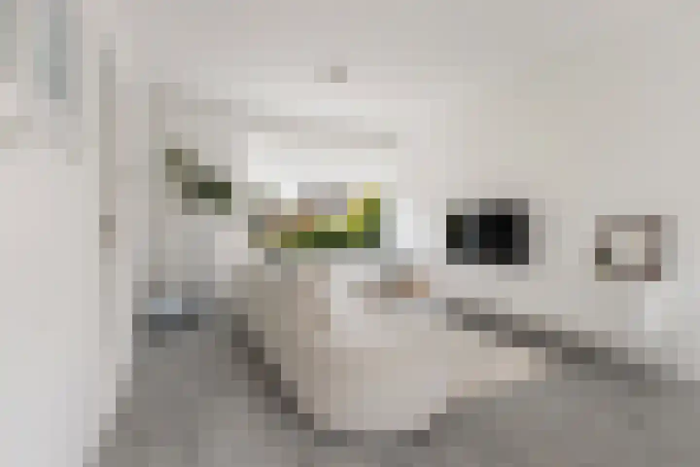 Nijhofflaan 4 Dordrecht thumbnail 4