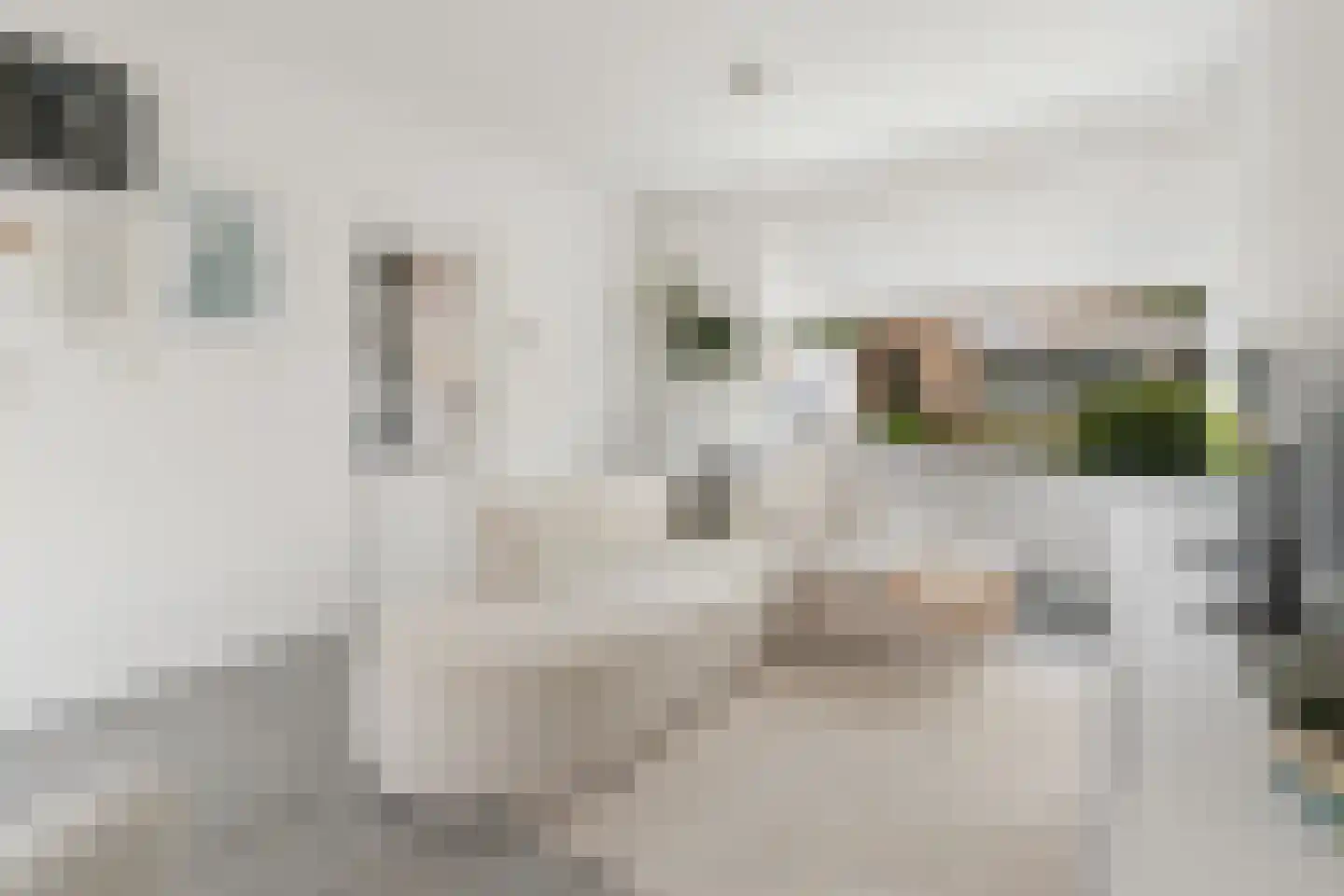 Nijhofflaan 4 Dordrecht thumbnail 5
