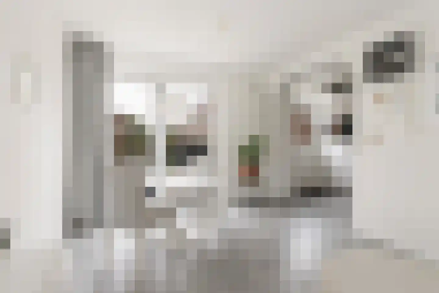 Nijhofflaan 4 Dordrecht thumbnail 6