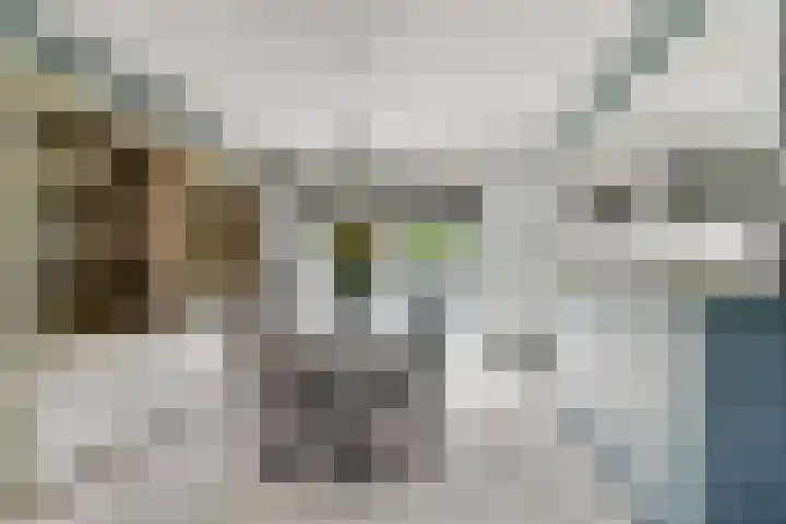 Nijhofflaan 40 Dordrecht thumbnail 9