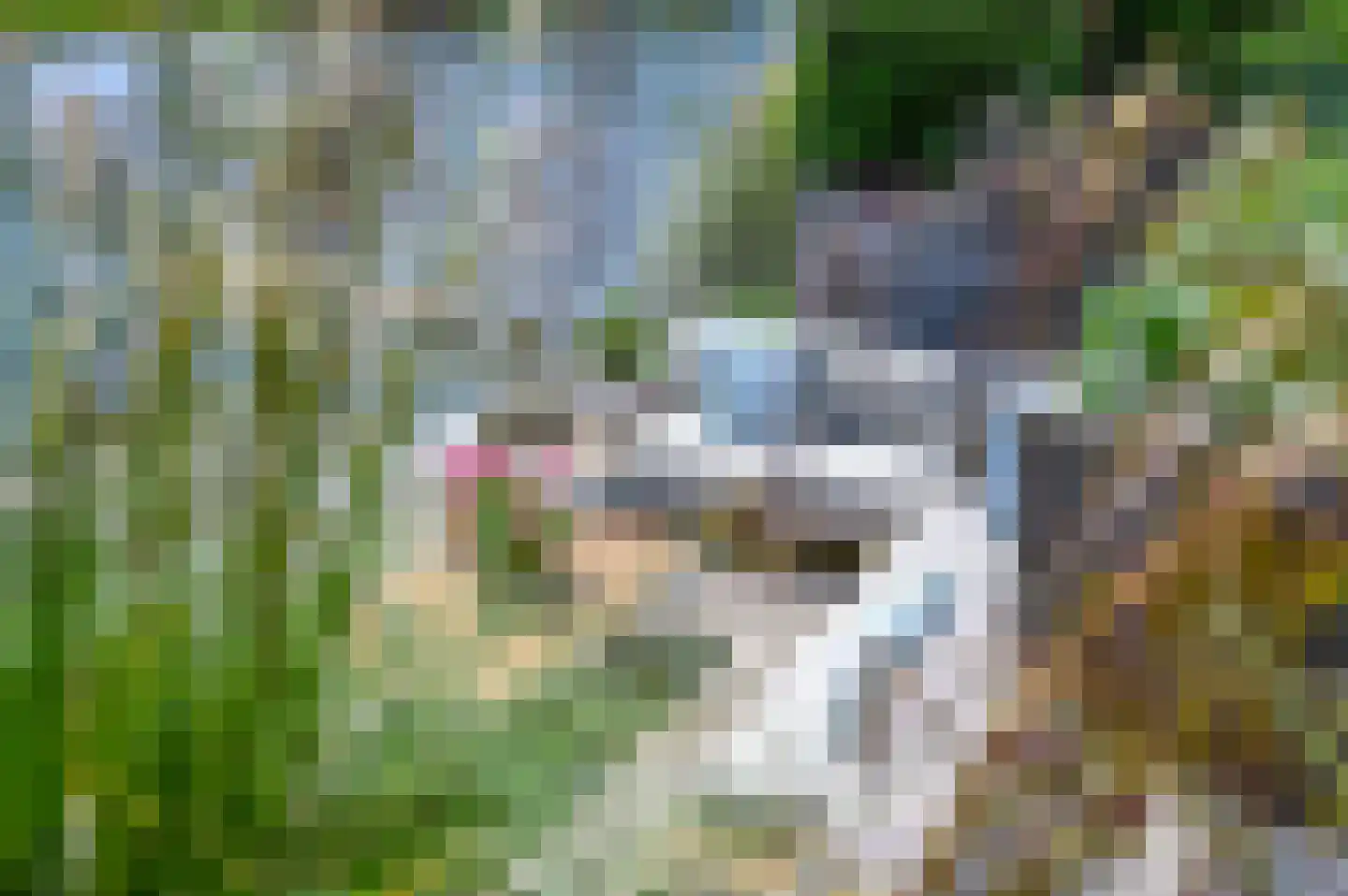 Nijhofflaan 41 Blaricum foto 3