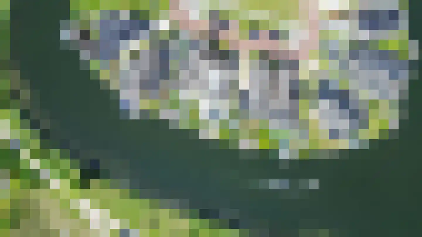 Nijhofflaan 41 Blaricum thumbnail 6