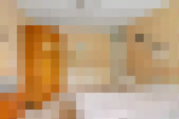 Nijhofflaan 42 Veenendaal thumbnail 13