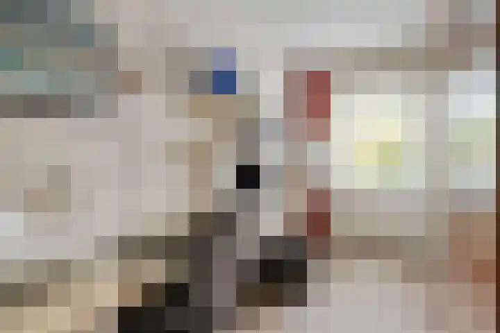 Nijhofflaan 42 Veenendaal thumbnail 17