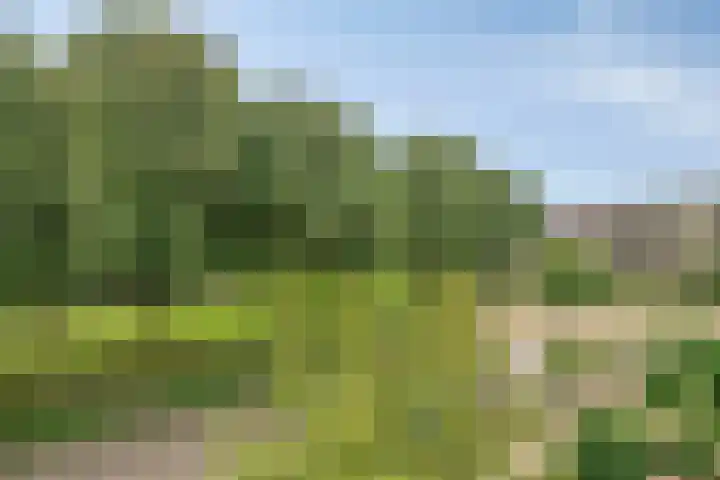 Nijhofflaan 42 Veenendaal thumbnail 20