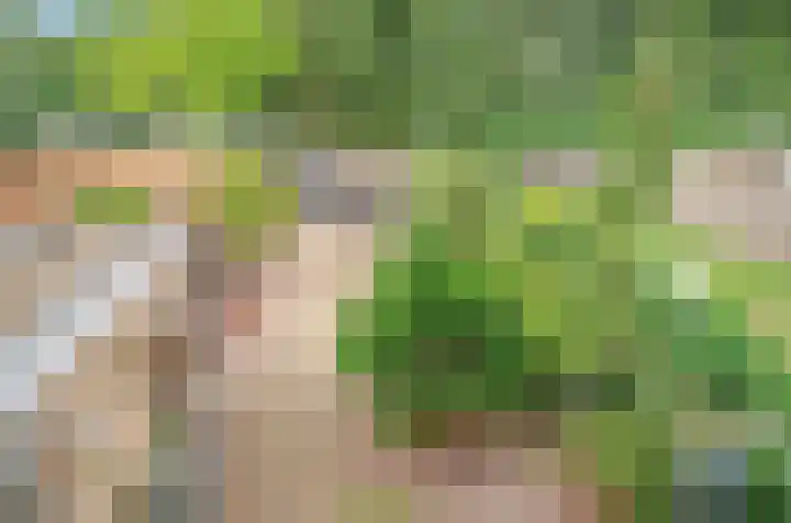 Nijhofflaan 42 Veenendaal thumbnail 21
