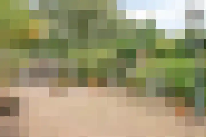 Nijhofflaan 42 Veenendaal thumbnail 24