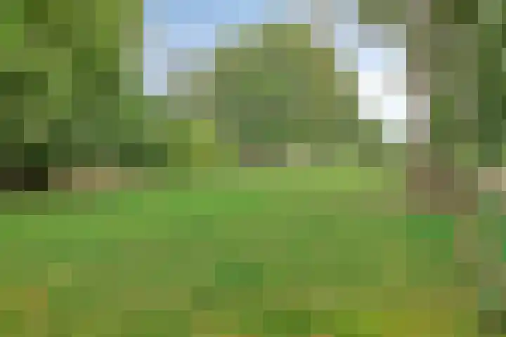 Nijhofflaan 42 Veenendaal thumbnail 26