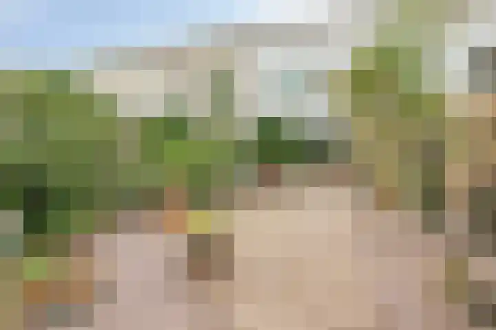 Nijhofflaan 42 Veenendaal foto 3